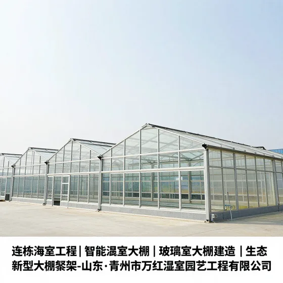 怎么选?专业推荐(1)(2)